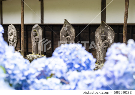 [山梨縣]初夏的開甘寺 69939028
