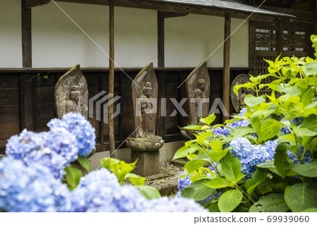 [Yamanashi Prefecture] Kaiganji Temple in early summer 69939060