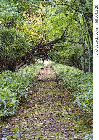 北海道Kamishihoro鎮的前JNR Shihoro Line雨痕 北海道Kamishihoro鎮的前JNR Shihoro Line雨痕 69939229