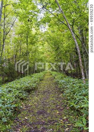 北海道Kamishihoro鎮的前JNR Shihoro Line雨痕 北海道Kamishihoro鎮的前JNR Shihoro Line雨痕 69939230