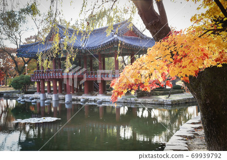 楓樹下的傳統韓國韓屋亭 69939792