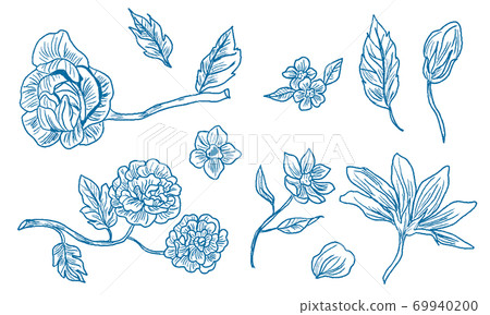 flower, flowers, botanic 69940200