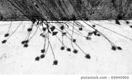 地上的花 69940968