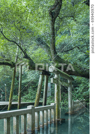 鹿島神社御手洗池塘 鹿島神社御手洗池塘 69940970