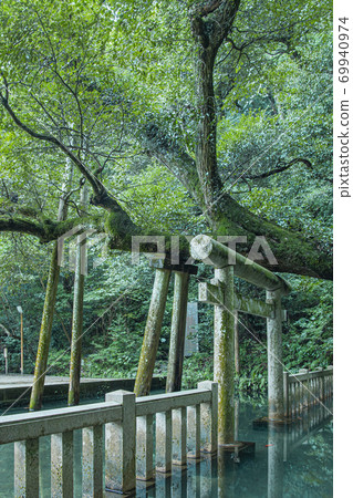 Kashima Shrine Mitarai pond 69940974