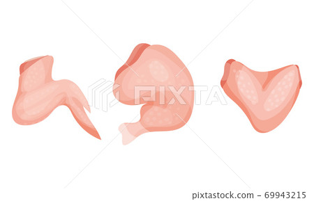 Chicken Meat Part with Wing and Leg as Farm Product Vector Set 69943215