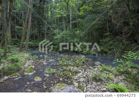 Yamaguchi Prefecture Mine City Akiyoshido Cave Cave River Cedar Tree Yamaguchi Prefecture Mine City Akiyoshido Cave Cave River Cedar Tree 69944273