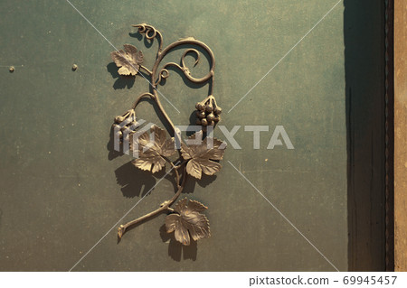 wrought-iron grille showing the vines in Eger, Hungary 69945457