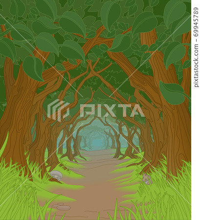Forest Background Fairytale Woodland Path Scene 69945789