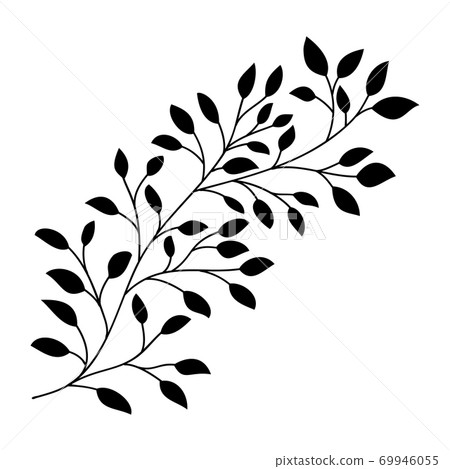 Hand drawn leaves and branch isolated silhouette on white. Doodle birch leaves for design. Vector illustration. Botanical print. Organic natural shape. Isolated birch branch. 69946055
