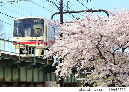 Keio Line 8000 series crossing the bridge 69946712