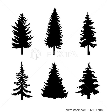 Set of Black Silhouettes of Pine Trees on White Background Set of Black Silhouettes of Pine Trees on White Background 69947080