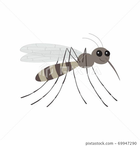 Cartoon mosquito character. Vector illustration Isolated. EPS10 69947290