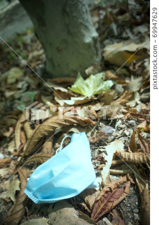 Used surgical mask lying on dry leaves in the field Used surgical mask lying on dry leaves in the field 69947629