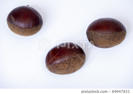 Autumn taste Image of sweet chestnut (white background) Autumn taste Image of sweet chestnut (white background) 69947831