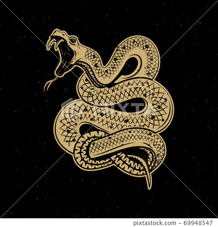 Viper snake illustration on dark background. Design element for poster, emblem, sign. Vector illustration Viper snake illustration on dark background. Design element for poster, emblem, sign. Vector illustration 69948547