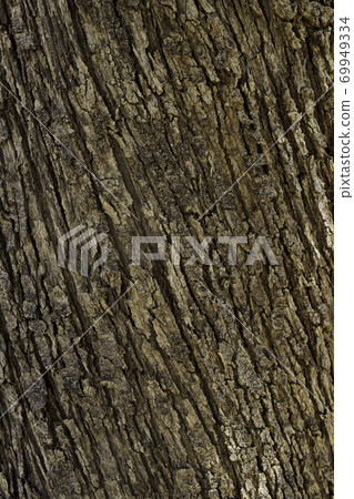 Tree bark texture natural pattern background  69949334