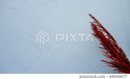 Decorative red dried flower on the white background 69949677