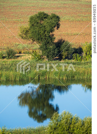 Pivdennyi Buh river shores, Mykolaiv Region, Ukraine 69949855