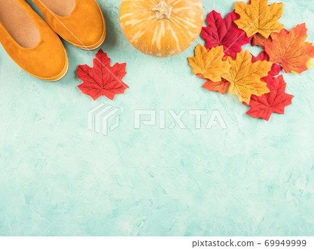 Female trendy fall color shoes, leaves, pumpkin Female trendy fall color shoes, leaves, pumpkin 69949999