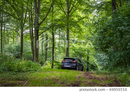 An EV, electric vehicle, parked in an amazing lush green forest in Soderasen national park, Scania southern Sweden. Woodland photo An EV, electric vehicle, parked in an amazing lush green forest in Soderasen national park, Scania southern Sweden. Woodland photo 69950558