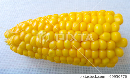 Homemade golden sweet corn cob ready to eat on the white table. Boiled yellow sweet corn cobs on white background Homemade golden sweet corn cob ready to eat on the white table. Boiled yellow sweet corn cobs on white background 69950776