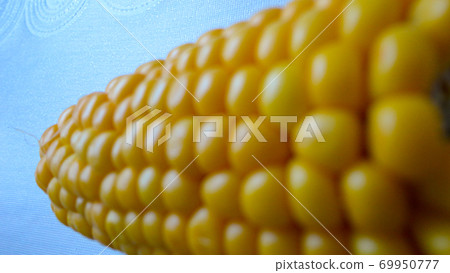Homemade golden sweet corn cob ready to eat on the white table. Boiled yellow sweet corn cobs on white background Homemade golden sweet corn cob ready to eat on the white table. Boiled yellow sweet corn cobs on white background 69950777