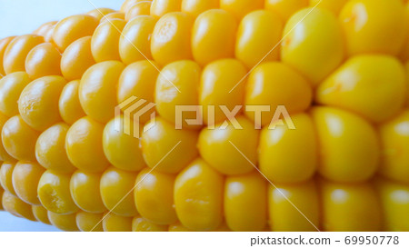 Homemade golden sweet corn cob ready to eat on the white table. Boiled yellow sweet corn cobs on white background Homemade golden sweet corn cob ready to eat on the white table. Boiled yellow sweet corn cobs on white background 69950778
