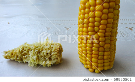 Homemade golden sweet corn cob ready to eat on the white table. Boiled yellow sweet corn cobs on white background 69950801