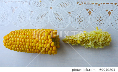 Homemade golden sweet corn cob ready to eat on the white table. Boiled yellow sweet corn cobs on white background Homemade golden sweet corn cob ready to eat on the white table. Boiled yellow sweet corn cobs on white background 69950803