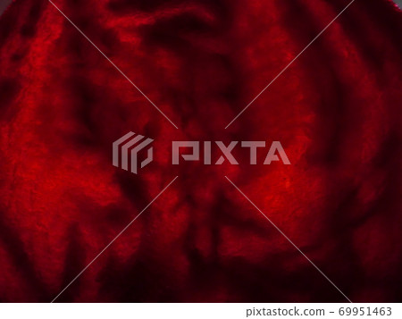Beetroot slice : dark red and black translucent background Beetroot slice : dark red and black translucent background 69951463