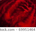 Beetroot slice : red and black translucent background with strange shapes 69951464