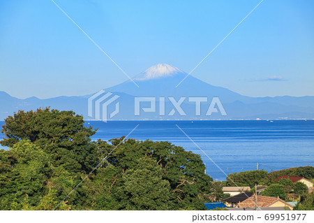 湘南三浦半島著名的蘿蔔田的秋天（第一場降雪為富士山） 69951977