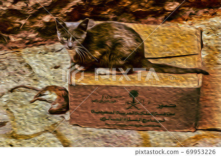 Cat on top of card box with dead mouse Cat on top of card box with dead mouse 69953226