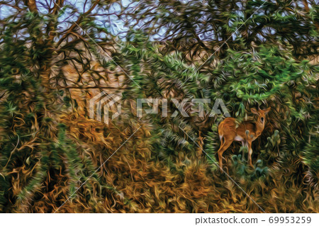 Gazelles at the African savanna in Tanzania 69953259