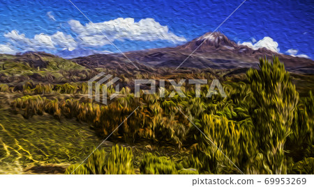 Mount Kilimanjaro and woods on Tanzanian upland 69953269