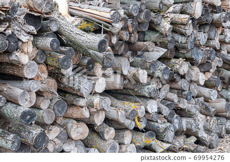 Stack of chopped wood prepared for winter Stack of chopped wood prepared for winter 69954276