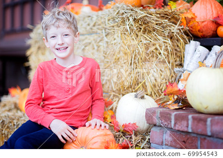 kid at pumpkin patch 69954543