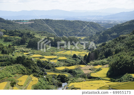 Golden Uchinari Rice Terrace Golden Uchinari Rice Terrace 69955173
