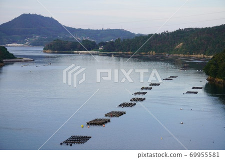 Kesennuma specialty oyster shelf / Oyster farming at Kesennuma, Miyagi Kesennuma specialty oyster shelf / Oyster farming at Kesennuma, Miyagi 69955581