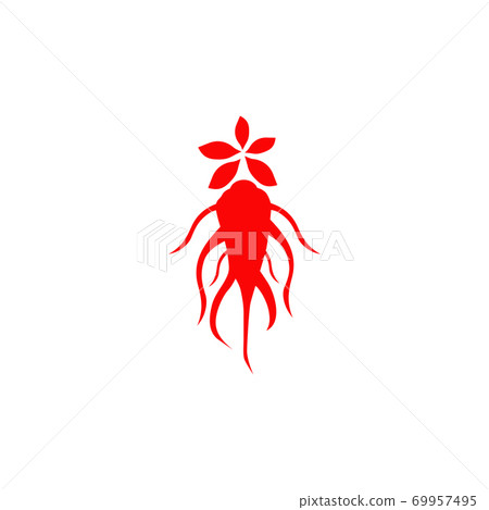 Korean ginseng logo design template 69957495
