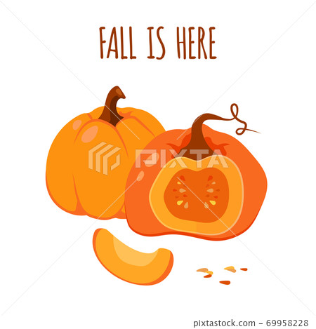 Autumn pumpkin card Thanksgiving vector closeup 69958228