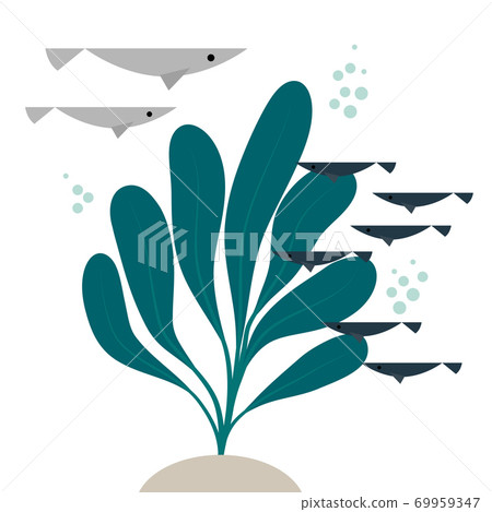Minimalist flat fiber seaweed image | Marine ecosystem illustration (white background, vector) Minimalist flat fiber seaweed image | Marine ecosystem illustration (white background, vector) 69959347