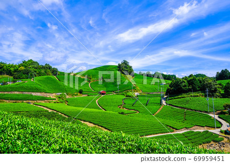 Uji Tea Village Ishitera Tea Farm 69959451