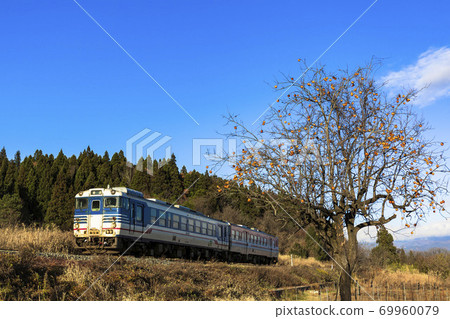 福島縣北枚市市剩餘的柿子和岩內西線列車 69960079
