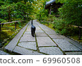Cat  69960508