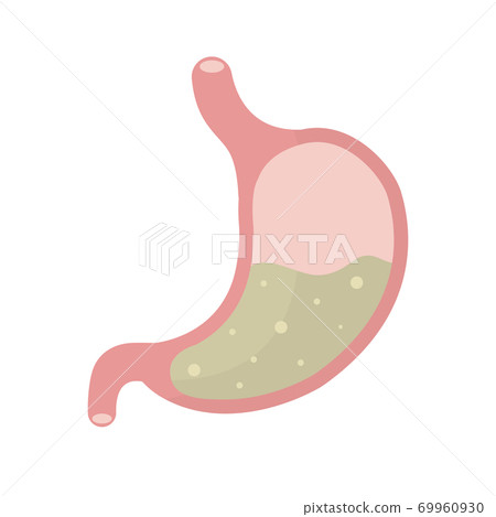 Internal organ digestive tract human system, Vector illustration 69960930