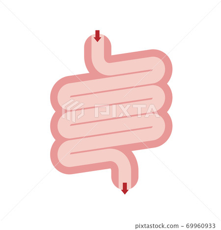 Internal organ digestive tract human system, Vector illustration 69960933