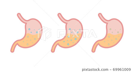 Internal organ digestive tract human system, Vector illustration 69961009