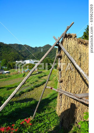 Hayama, 100 selections of rice terraces in autumn Hayama, 100 selections of rice terraces in autumn 69962069